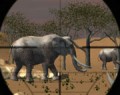 Animal Hunter 3D Africa