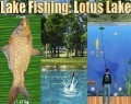 Lake Fishing: Lotus Lake